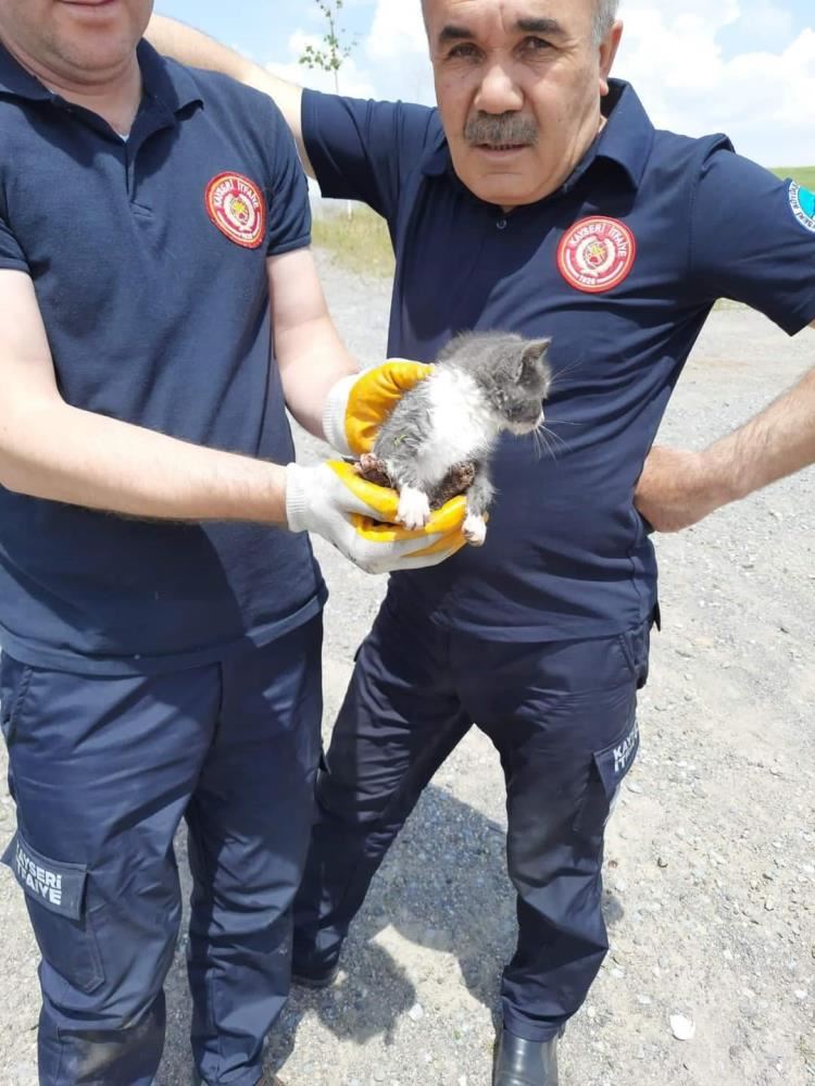 Kuyuya düşen yavru kediyi itfaiye kurtardı