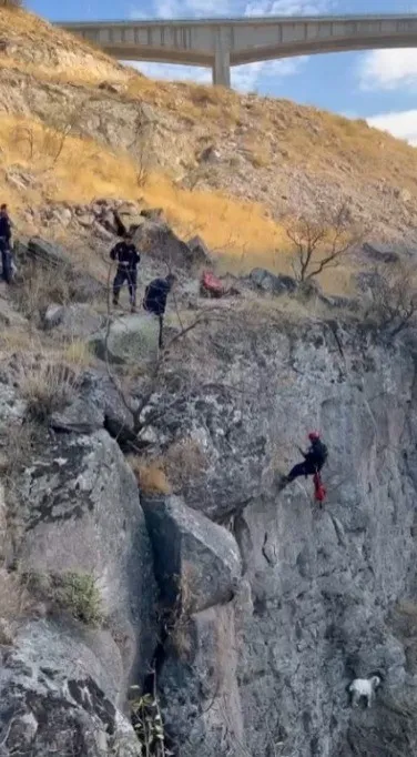 Uçurumda mahsur kalan keçi kurtarıldı