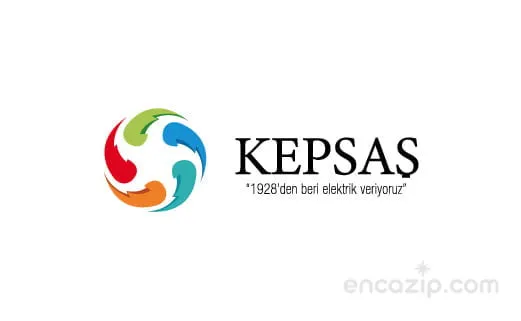 Elektrik şirketi araç satın alacak