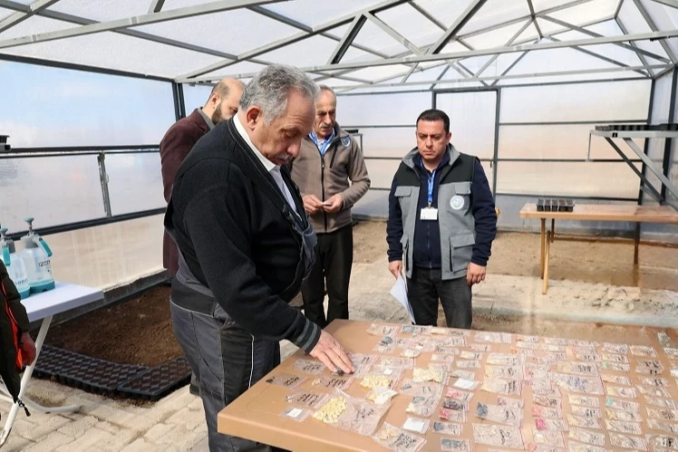 Kayseri Talas