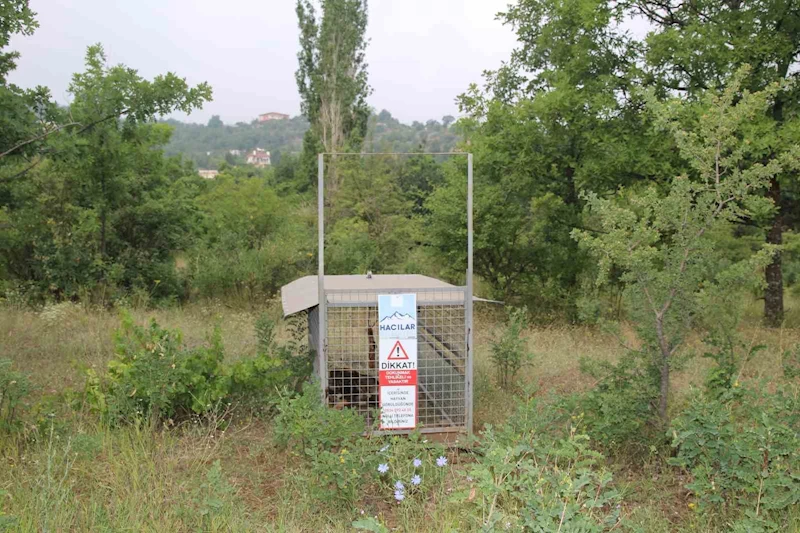 Başkan Özdoğan: 